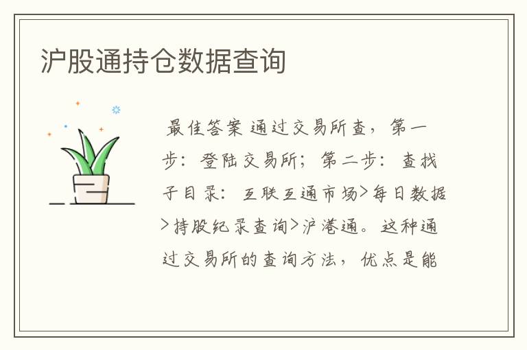 沪股通持仓数据查询